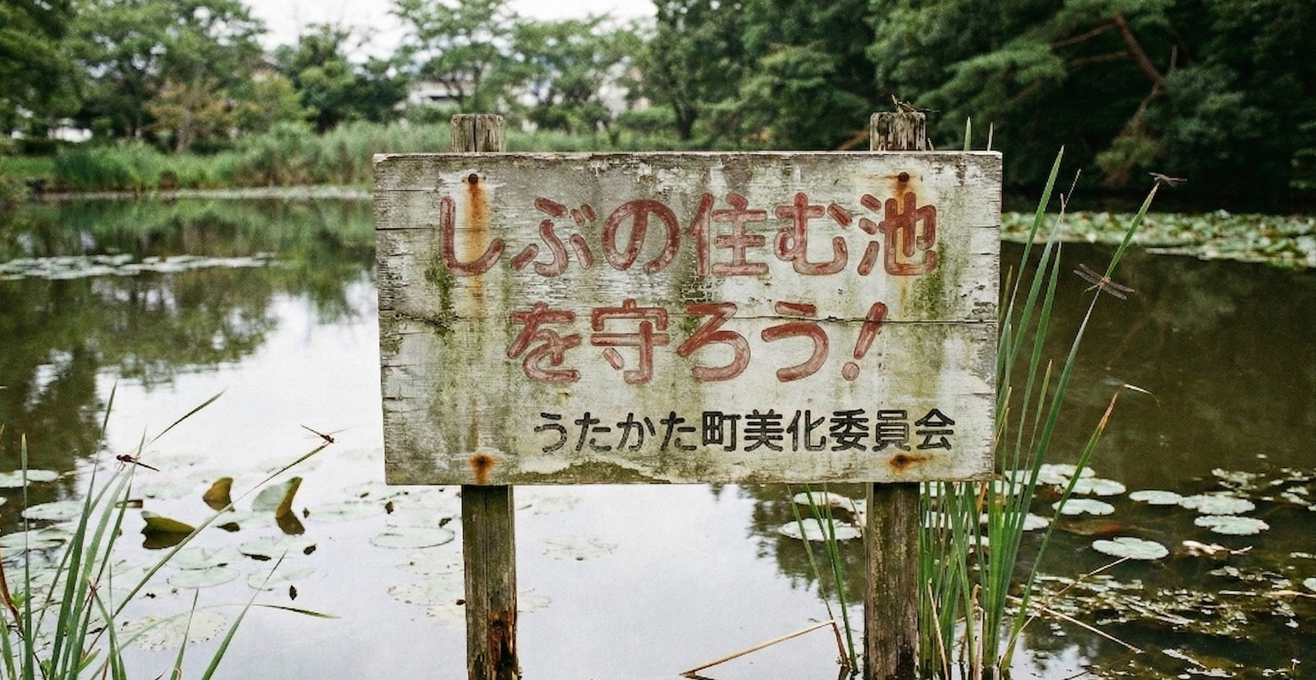 方言の看板
